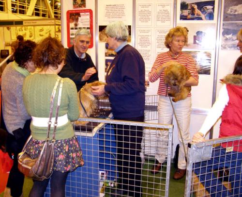 Discover Dogs 2008