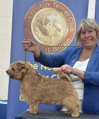  BEST OPPOSITE SEX IN SHOW and DOG CC Ruth Gee’s   CH WATERCROFT BOOZY MILLER 