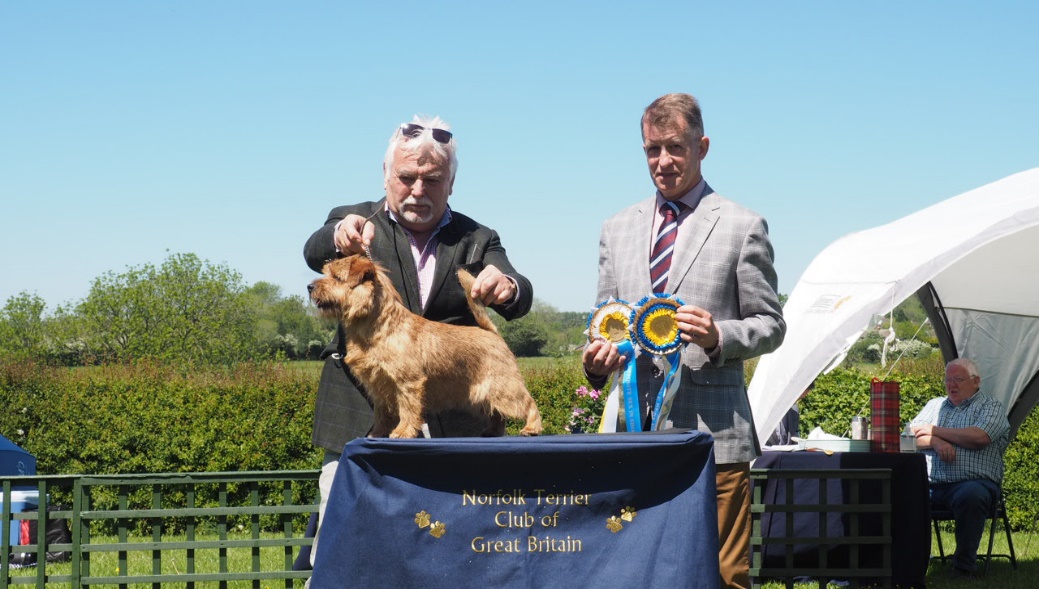 Martin Phillips and John Thirwell with Reserve Best In Show and Best Opposite Sex: WINNING SPREE AT JAEVA NAF TAF