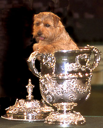 Coco BIS Crufts 2006