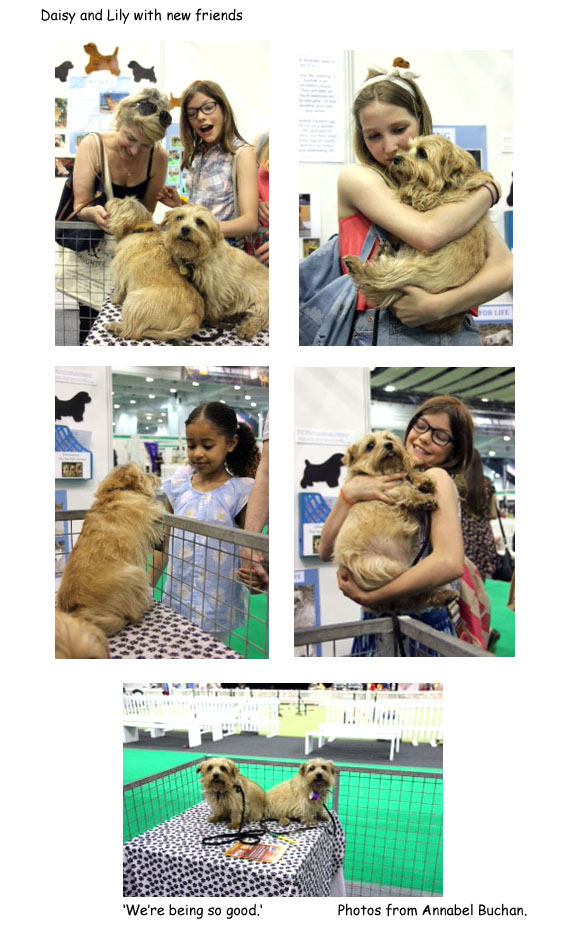 Discover Dogs 2014 London