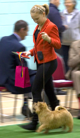 Junior Handler - 1st Lydia Smith with Javidel May Just have Too