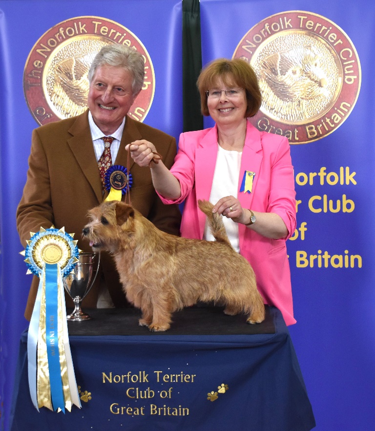 JUDGE TONY ALLCOCK, CATHY THOMPSON-MORGAN WITH  BEST DOG AND BEST IN SHOW:  BELLEVILLE HIGH LIFE