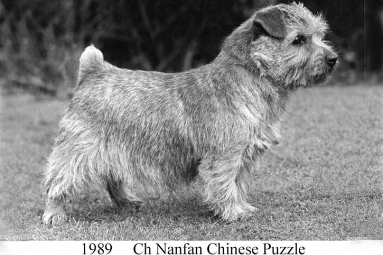 1989 Ch Nanfan Chinese Puzzle