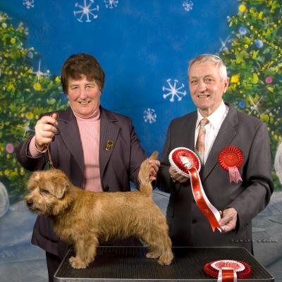2012 Christmas Open - Best Puppy Dog