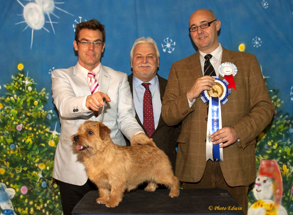 BOS PUPPY: Jiffy Golden Go to Jaeva with Andrew Gullick and Martin Phillips