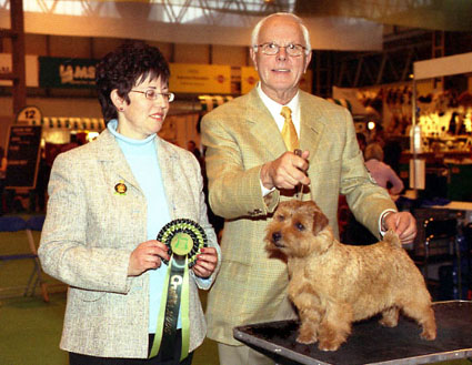 BEST OF BREED, BEST OF GROUP & BEST IN SHOW:  ENG/AM CH CRACKNOR CAUSE CELEBRE