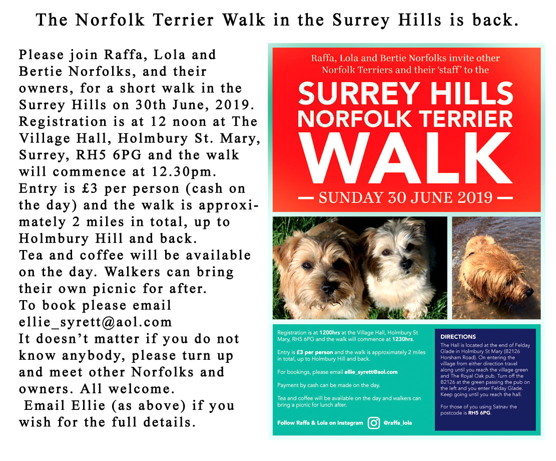 Norfolk Terrier Walk 2019