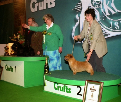 Crufts 2004