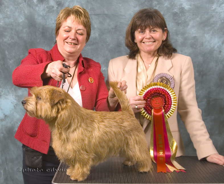 BEST IN SHOW & BEST DOG   BLAKENS XPRESS YOURSELF