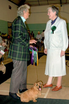 The judge, Mrs Ferelith Somerfield,  discusses old times with Mrs Mary Atkinson after awarding the bitch CC to her  CH HOBSON’S CHOICE AT MOORTOP