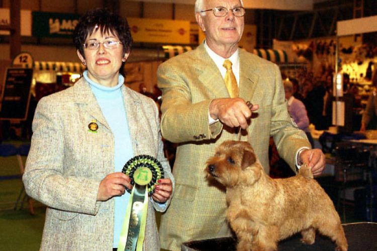 Eng/Am Ch Cracknor Cause Celebre wins Best of Breed.